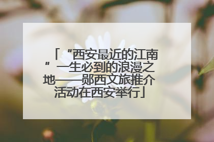 “西安最近的江南”一生必到的浪漫之地——郧西文旅推介活动在西安举行