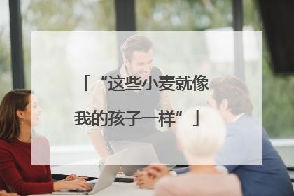“这些小麦就像我的孩子一样”
