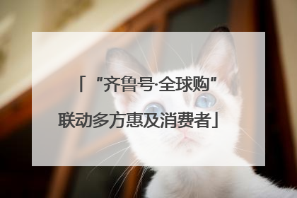 “齐鲁号·全球购”联动多方惠及消费者