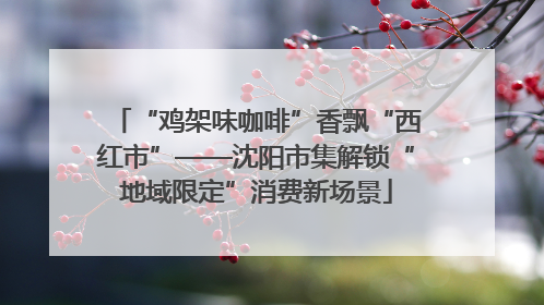 “鸡架味咖啡”香飘“西红市”——沈阳市集解锁“地域限定”消费新场景