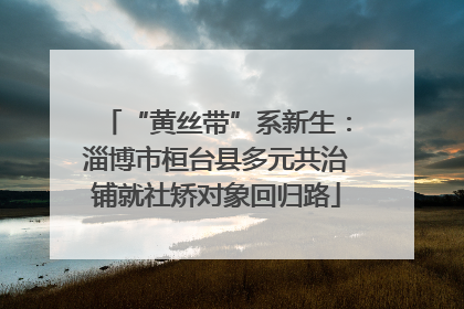 “黄丝带”系新生：淄博市桓台县多元共治铺就社矫对象回归路
