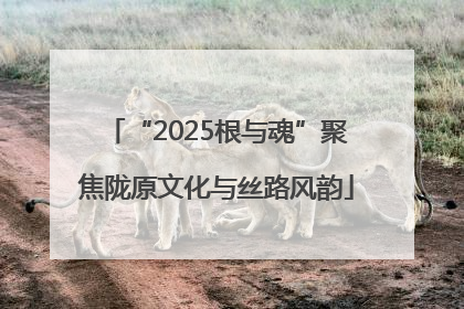 “2025根与魂”聚焦陇原文化与丝路风韵