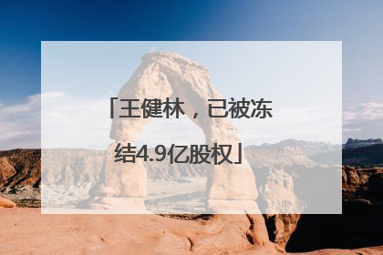王健林，已被冻结4.9亿股权