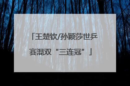 王楚钦/孙颖莎世乒赛混双“三连冠”
