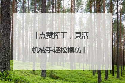 点赞挥手，灵活机械手轻松模仿