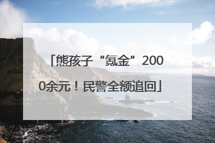 熊孩子“氪金”2000余元！民警全额追回