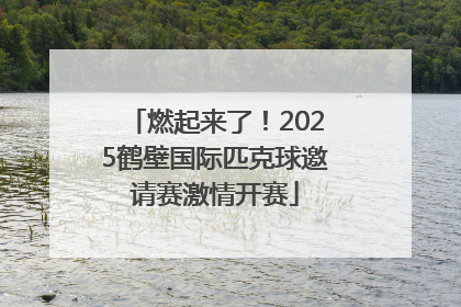 燃起来了！2025鹤壁国际匹克球邀请赛激情开赛