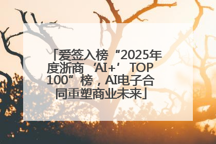 爱签入榜“2025年度浙商‘AI+’TOP100”榜，AI电子合同重塑商业未来