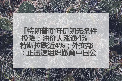 特朗普呼吁伊朗无条件投降；油价大涨逾4%，特斯拉跌近4%；外交部：正迅速组织撤离中国公民；阿里+苹果，大消息丨每经早参