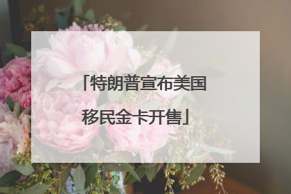 特朗普宣布美国移民金卡开售
