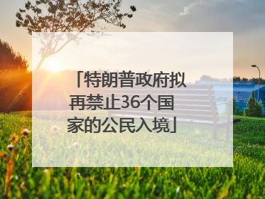 特朗普政府拟再禁止36个国家的公民入境