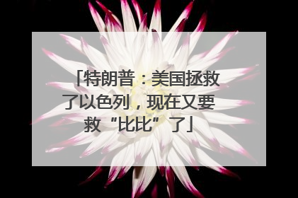 特朗普：美国拯救了以色列，现在又要救“比比”了