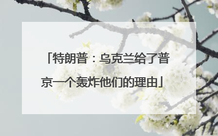 特朗普：乌克兰给了普京一个轰炸他们的理由