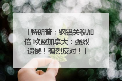 特朗普：钢铝关税加倍 欧盟加拿大：强烈遗憾！强烈反对！