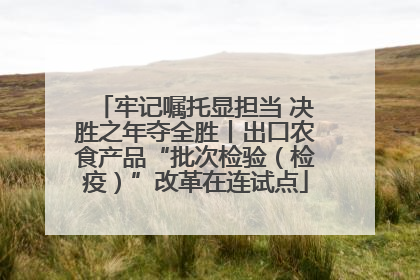 牢记嘱托显担当 决胜之年夺全胜丨出口农食产品“批次检验（检疫）”改革在连试点