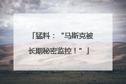 猛料：“马斯克被长期秘密监控！”