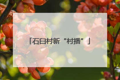 石臼村新“村播”