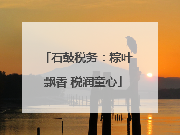 石鼓税务：粽叶飘香 税润童心