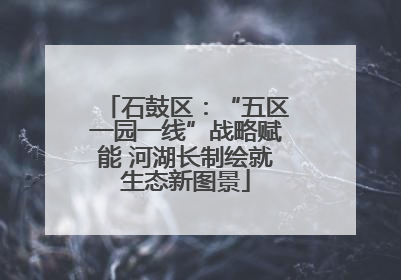 石鼓区：“五区一园一线”战略赋能 河湖长制绘就生态新图景
