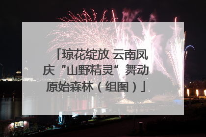 琼花绽放 云南凤庆“山野精灵”舞动原始森林（组图）