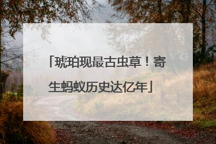 琥珀现最古虫草！寄生蚂蚁历史达亿年