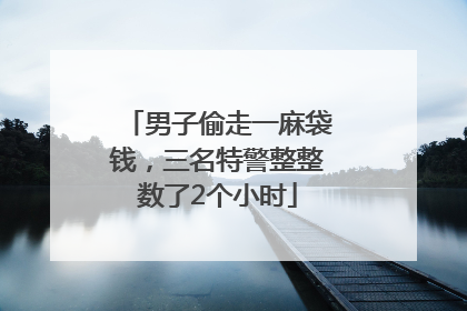 男子偷走一麻袋钱，三名特警整整数了2个小时