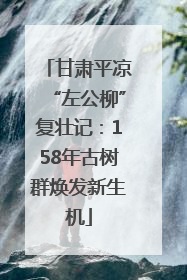 甘肃平凉“左公柳”复壮记：158年古树群焕发新生机