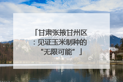 甘肃张掖甘州区：见证玉米制种的“无限可能”