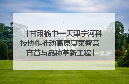 甘肃榆中—天津宁河科技协作推动高原夏菜智慧育苗与品种革新工程