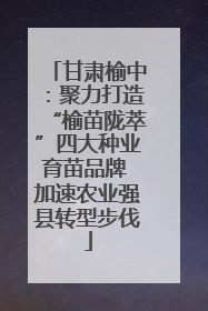 甘肃榆中：聚力打造“榆苗陇萃”四大种业育苗品牌 加速农业强县转型步伐