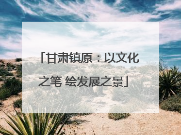 甘肃镇原：以文化之笔 绘发展之景