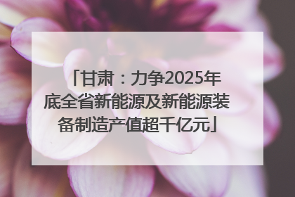 甘肃：力争2025年底全省新能源及新能源装备制造产值超千亿元