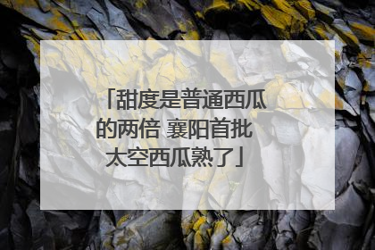 甜度是普通西瓜的两倍 襄阳首批太空西瓜熟了