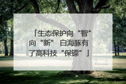 生态保护向“智”向“新” 白海豚有了高科技“保镖”