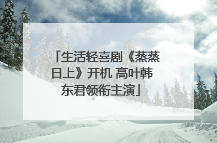 生活轻喜剧《蒸蒸日上》开机 高叶韩东君领衔主演