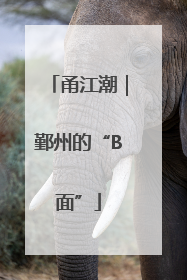 甬江潮｜鄞州的“B面”