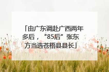 由广东调赴广西两年多后，“85后”张东方当选苍梧县县长