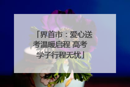 界首市：爱心送考温暖启程 高考学子行程无忧