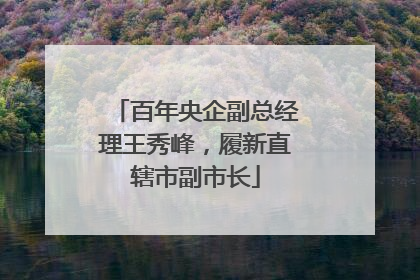 百年央企副总经理王秀峰，履新直辖市副市长