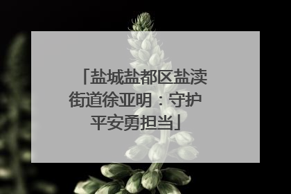 盐城盐都区盐渎街道徐亚明：守护平安勇担当
