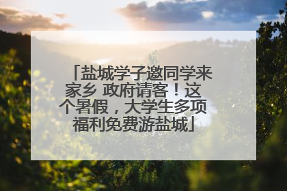 盐城学子邀同学来家乡 政府请客！这个暑假，大学生多项福利免费游盐城