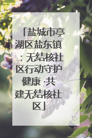盐城市亭湖区盐东镇：无结核社区行动守护健康 ·共建无结核社区