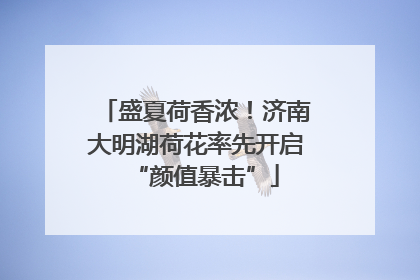 盛夏荷香浓！济南大明湖荷花率先开启“颜值暴击”