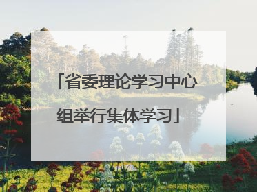 省委理论学习中心组举行集体学习