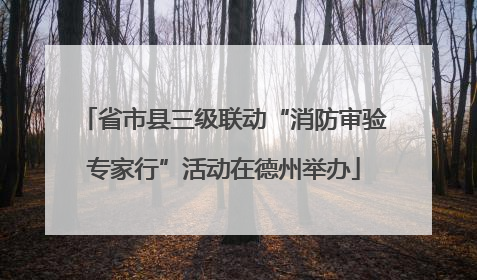 省市县三级联动“消防审验专家行”活动在德州举办