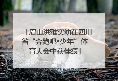 眉山洪雅实幼在四川省“奔跑吧•少年”体育大会中获佳绩