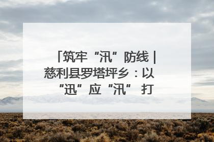 筑牢“汛”防线｜慈利县罗塔坪乡：以“迅”应“汛” 打赢暴雨防御战
