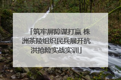 筑牢屏障谋打赢 株洲茶陵组织民兵展开抗洪抢险实战实训