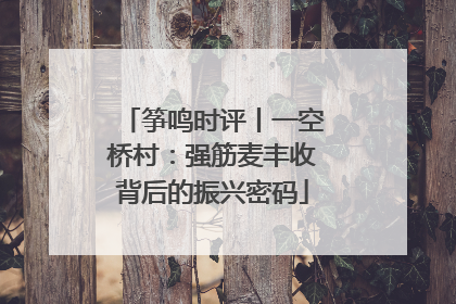 筝鸣时评丨一空桥村：强筋麦丰收背后的振兴密码