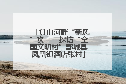 箕山河畔“新风”吹——探访“全国文明村”鄄城县凤凰镇酒店张村